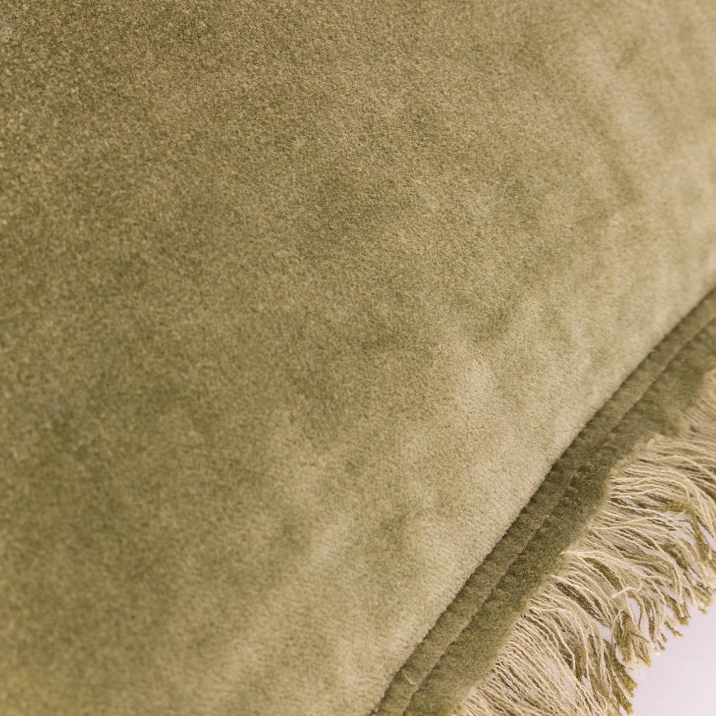Moss frayed edge cushion