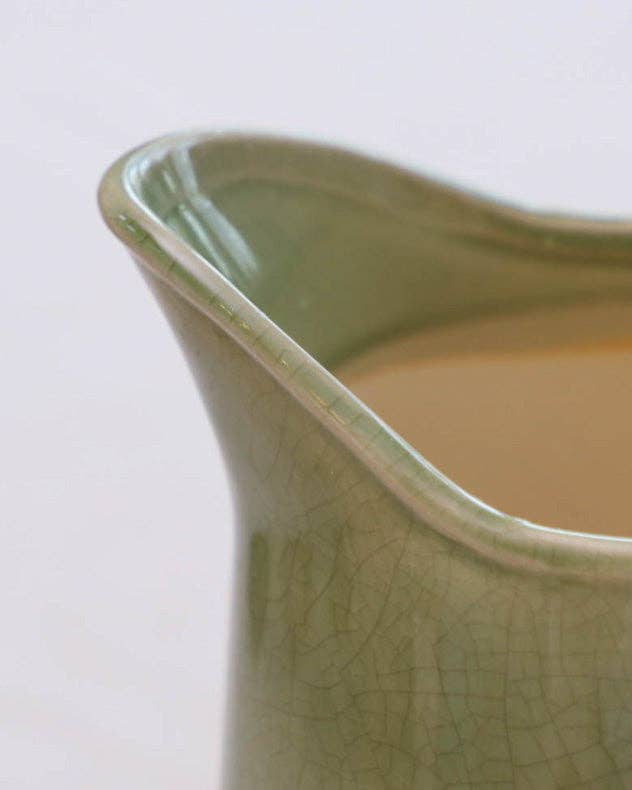 Green Fern Pitcher Jug Vase